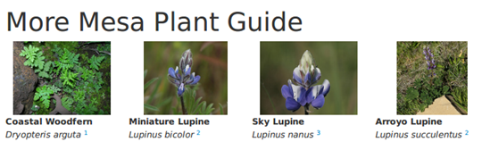 plantguide