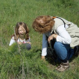 Grandaughter Discovering Caterpillars on More Mesa