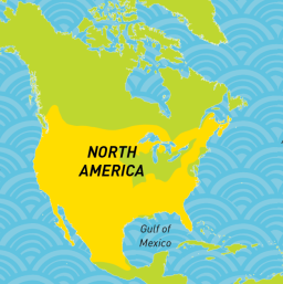 north america cat range