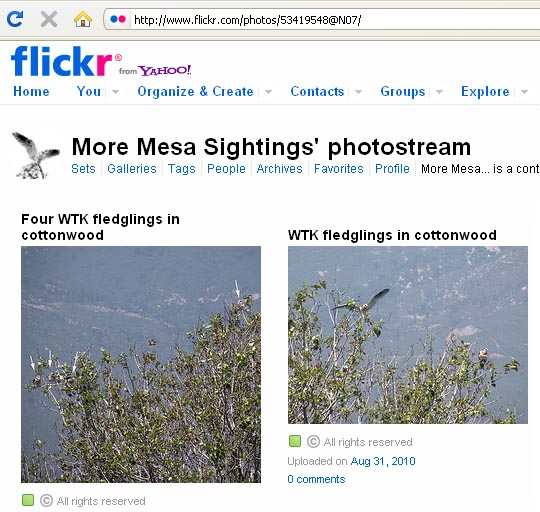 flickr site