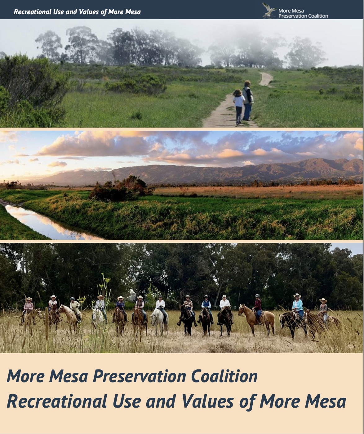 Recreational Use Report