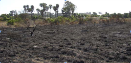 July 2007 Fire on More Mesa