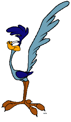 22c road runner cartoon