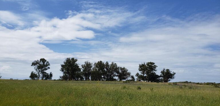 A Love-Hate Relationship