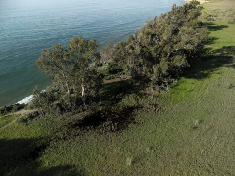 Water, Water Everywhere