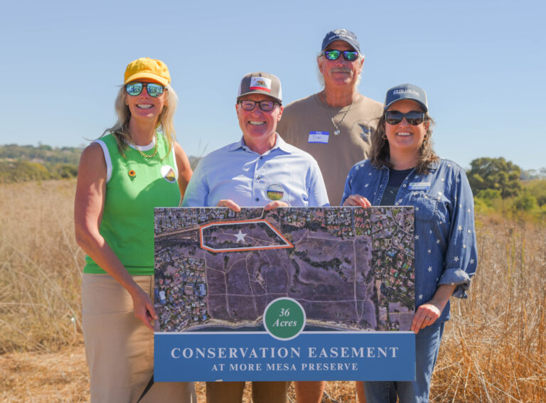 A Historic Win for More Mesa: Permanent Protection for 36 Acres