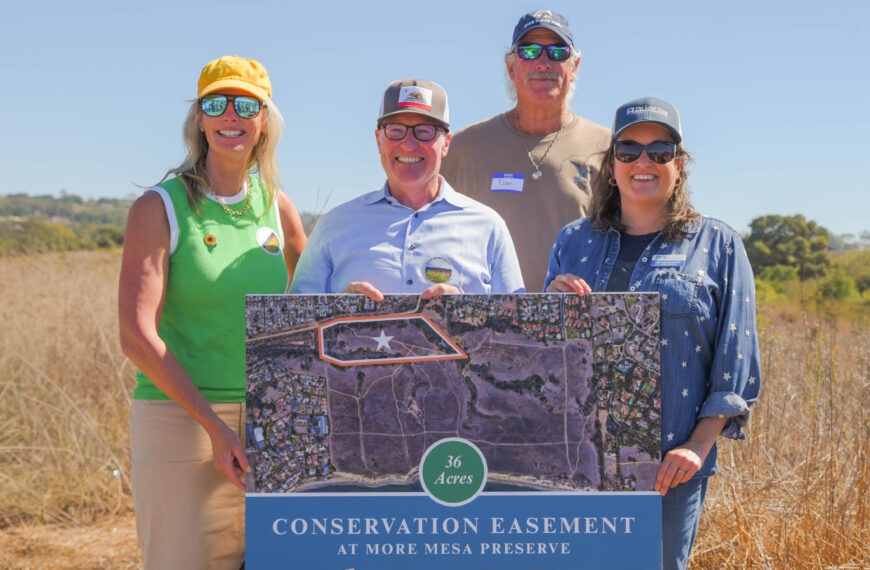 A Historic Win for More Mesa: Permanent Protection for 36 Acres