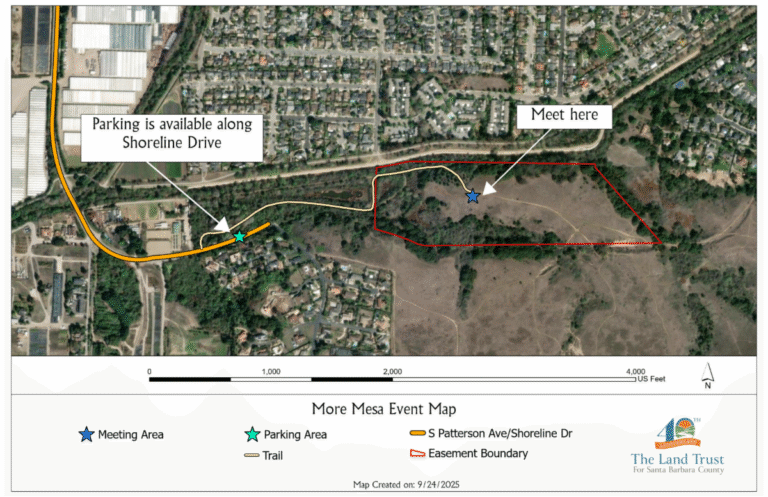 You’re Invited: Celebrate More Mesa at Our Community Picnic!