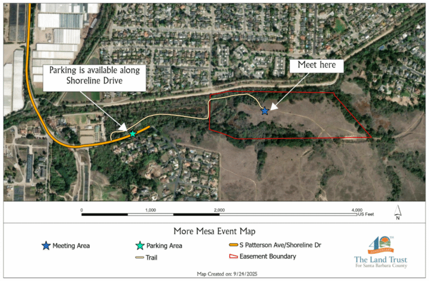 You’re Invited: Celebrate More Mesa at Our Community Picnic!