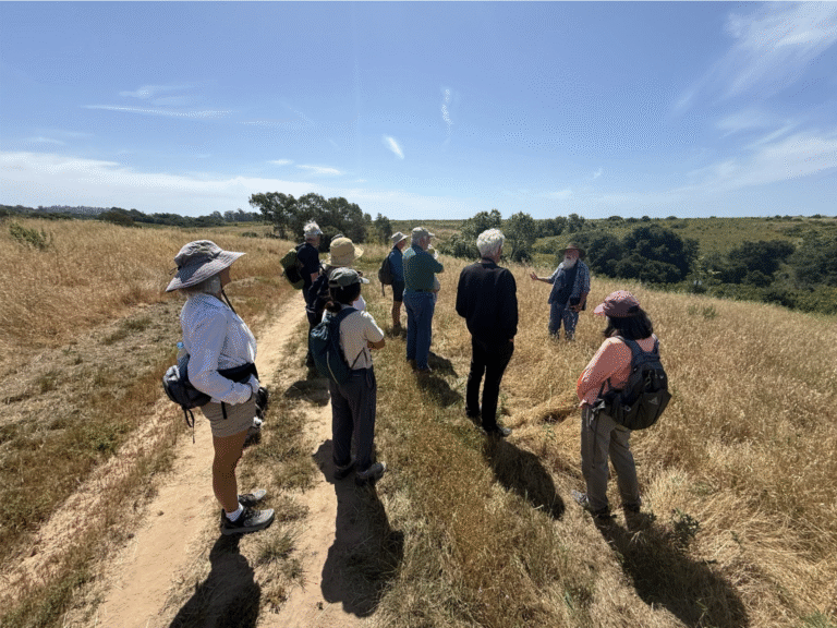 Bio Walk Series at More Mesa