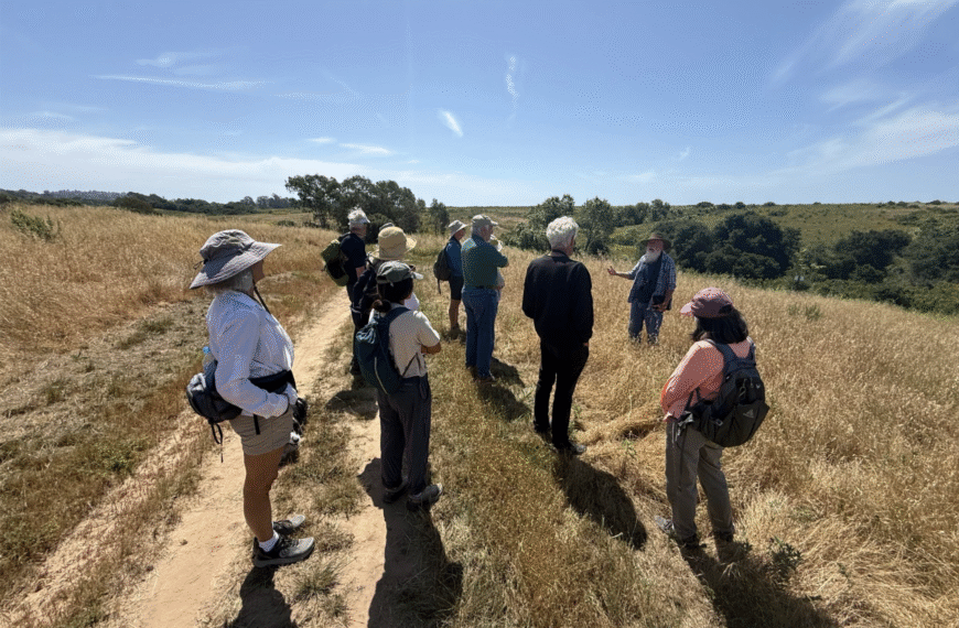 Bio Walk Series at More Mesa