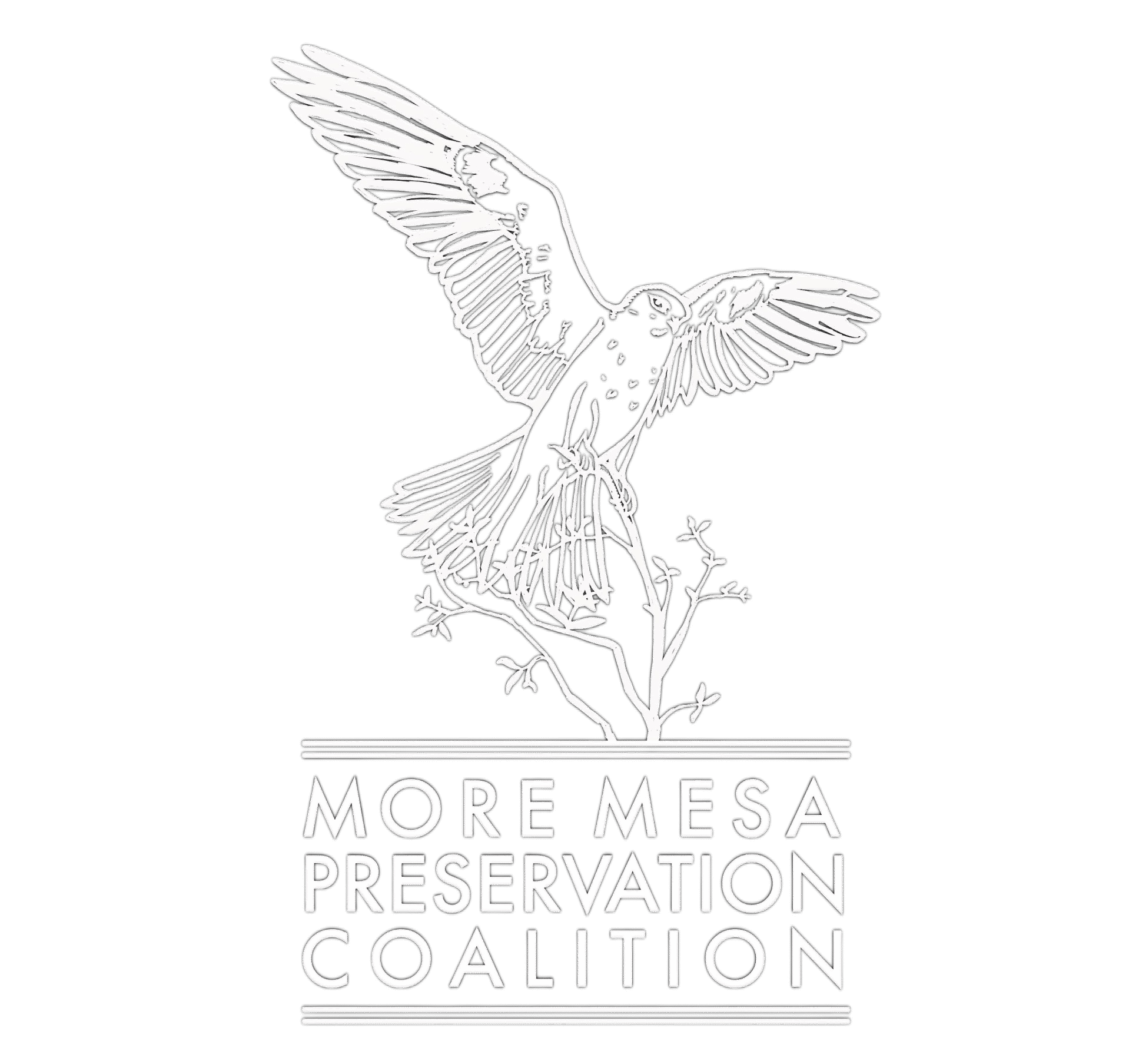 More Mesa Preservation Coalition