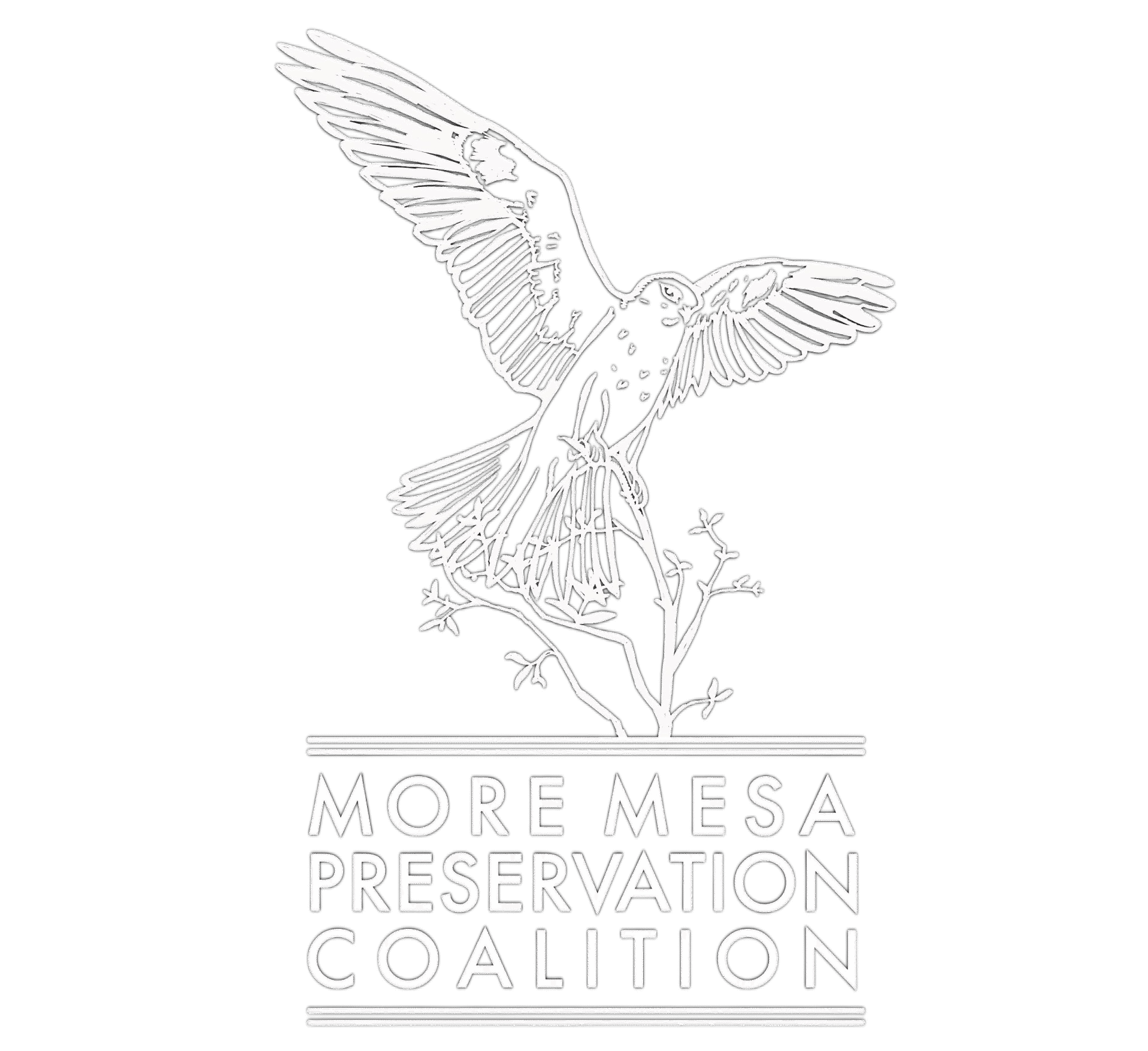 More Mesa Preservation Coalition